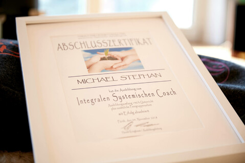 Integraler-Sytemischer-Coach-Michael-Stephan-Wuerzburg